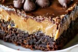 Chocolate Peanut Butter Ooey Gooey Butter Bars Recipe