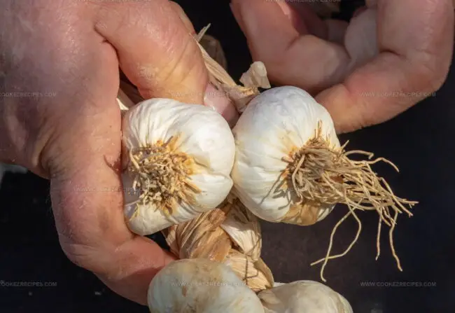 Ljubitovica Sarac Garlic (Ljubitovacki Sarac)