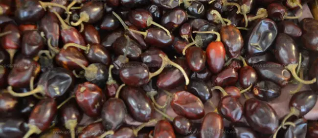 Cascabel Chile