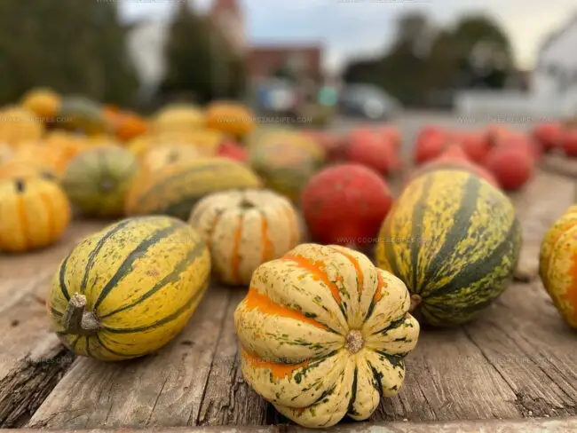 What Are Fruit Vegetables, and How Are They Used in North American Cuisine?
