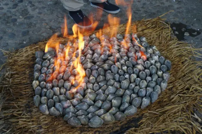 Nampo Petrol Clams