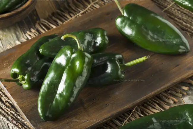 Poblano Pepper