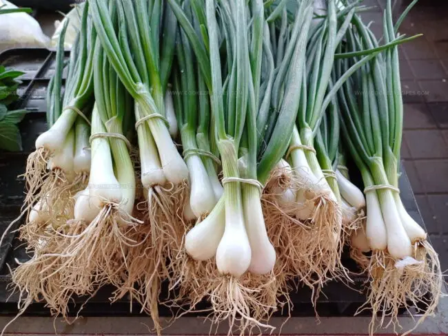 Are Bulb Vegetables the Same as Tubers?