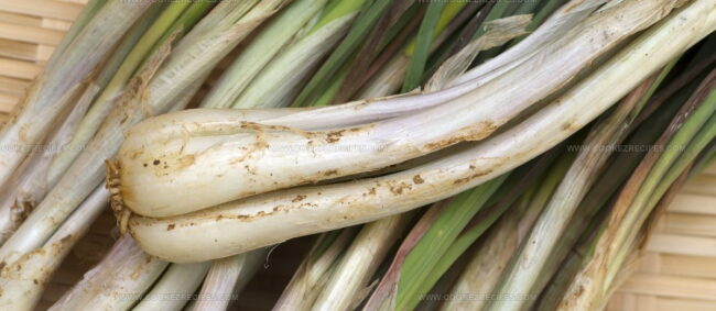 Chinese Onion (Xie)