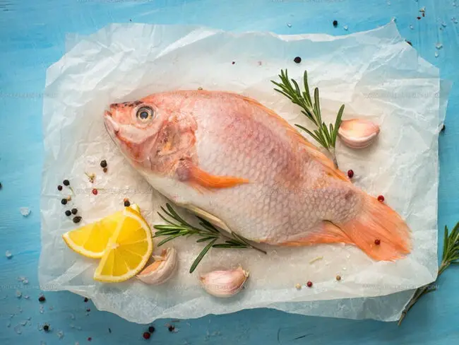 What Is Tilapia?