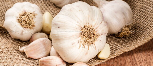 Ail Blanc De Lomagne