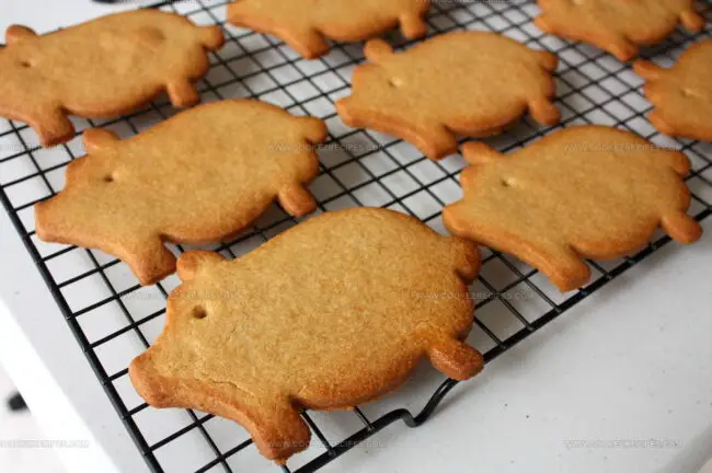 Marranitos