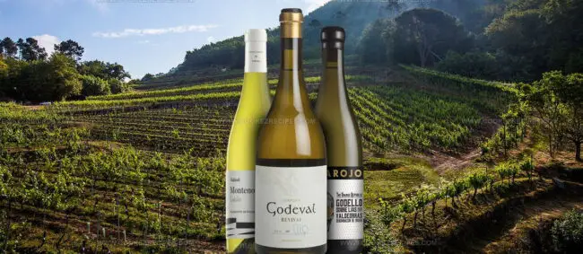 Godello