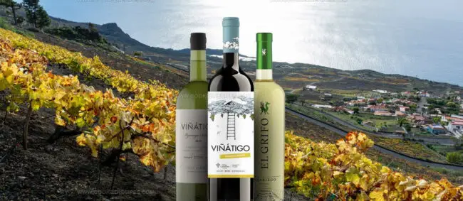 Vijariego