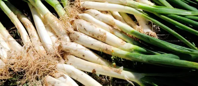 Calcot De Valls