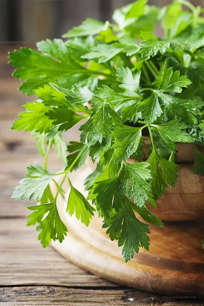 Different Parsley Varieties