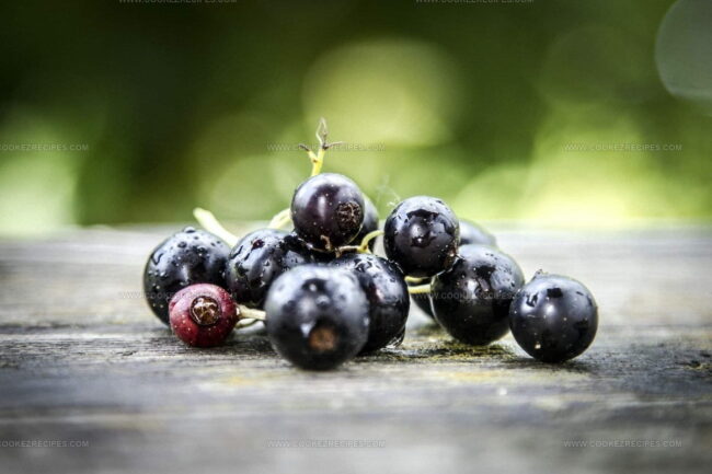 What Is Black Currant?